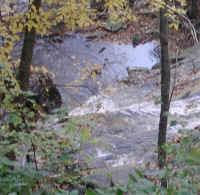 Crabtree Falls - 3 Nov 2005 - 028a