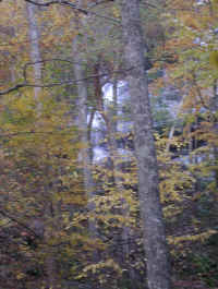 Crabtree Falls - 3 Nov 2005 - 030