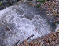 Crabtree Falls - 3 Nov 2005 - 034a