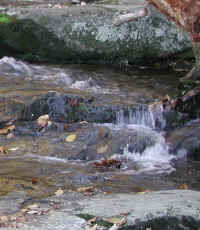 Crabtree Falls - 3 Nov 2005 - 064a