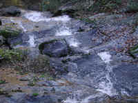 Crabtree Falls - 3 Nov 2005 - 068
