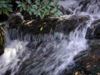Crabtree Falls - 3 Nov 2005 - 069