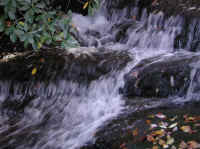 Crabtree Falls - 3 Nov 2005 - 070