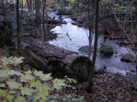 Crabtree Falls - 3 Nov 2005 - 101