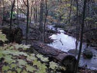 Crabtree Falls - 3 Nov 2005 - 102