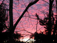 sunset-sunrise-trees-01
