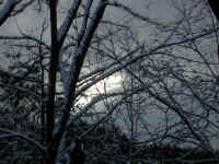 wi-2003-snow-4feb04-06