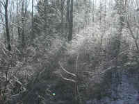 Freezing Rain - 6 Jan 2004 - 04