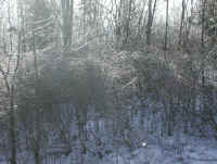 Freezing Rain - 6 Jan 2004 - 05