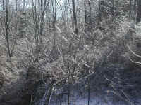 Freezing Rain - 6 Jan 2004 - 06
