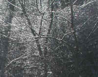 Freezing Rain - 6 Jan 2004 - 07