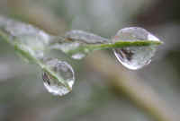 Freezing Rain - April 2003 - 01
