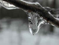 Freezing Rain - January 2003 - 02