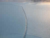 Ice - 21 December 2003 - 01