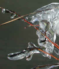 Ice - 3 December 2003 - 04