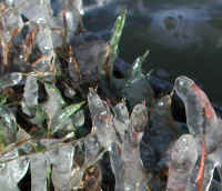 Ice - 3 December 2003 - 07