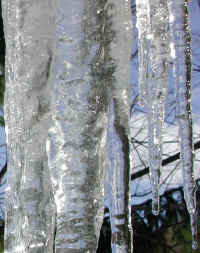 Icicles - January 2003 - 02