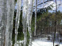 Icicles - January 2003 - 05
