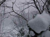 wi-ww2008-9-snow-20081221-10