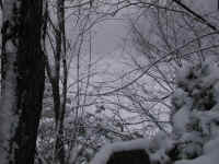 wi-ww2008-9-snow-20081221-13