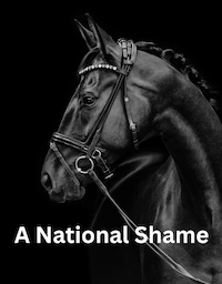 A National Shame title and horse