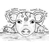 pig illustration