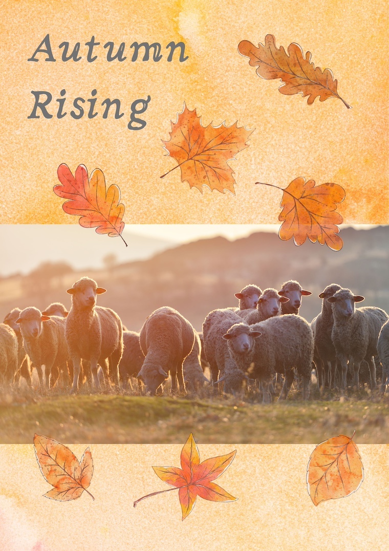 title, sheep, and autumn leaves