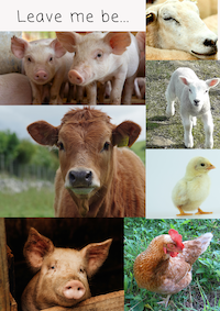 Leave me be title and farmed animals