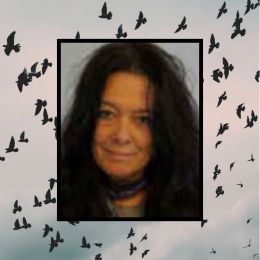 Heidi Stephenson portrait