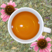 echinacea tea