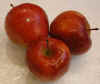 Apples, Red Delicious