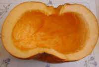 Pumpkin - 04