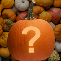 image of pumpkin with question mark