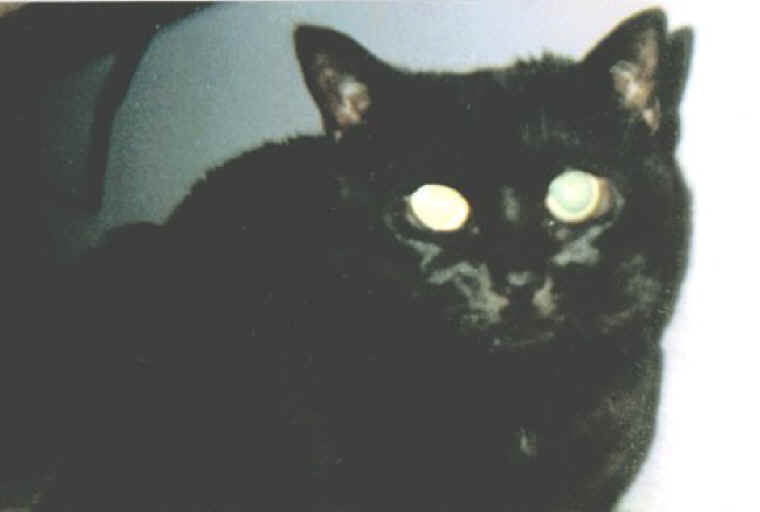 a-luna-01