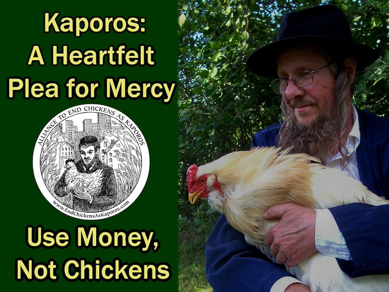 kind kaporos billboard