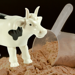 image of plastic cow and whey protein powder