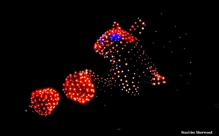 drone squirrel and acorns