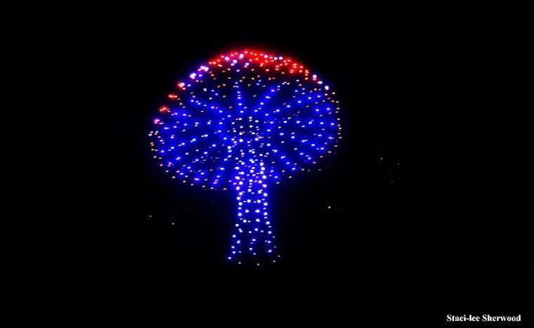 drone mushroom