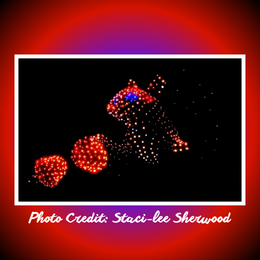 squirrel and acorn drone display