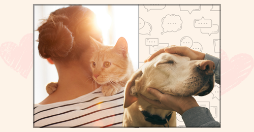 humans and companion animals