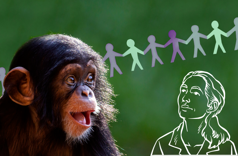 baby chimpanzee, paper dolls, and Jane Goodall illustration