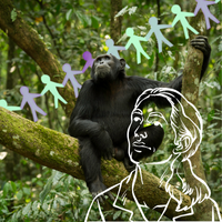 Jane Goodall illustration, chimpanzee, and paper dolls