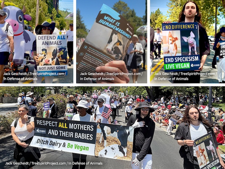 vegans in parade