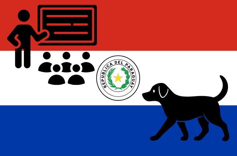 flag of Paraguay and icons of classroom and dog