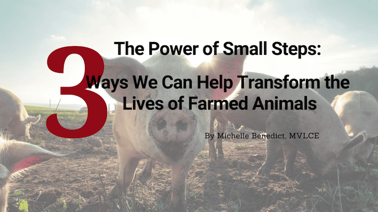 article title and pigs