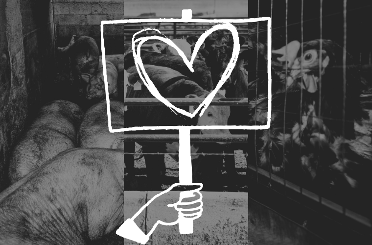 animals raised for food and image of sign with heart