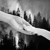 image paw, hand, and forest fire