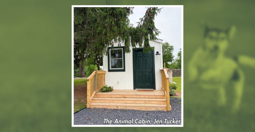 The Animal Cabin