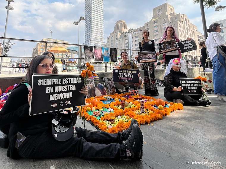 activists in Mexico City
