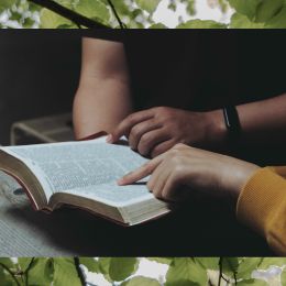image with bible, hands, and leaves